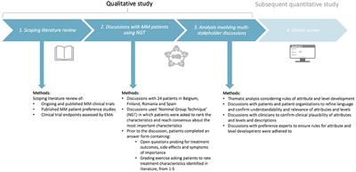 Patient Preferences for Multiple Myeloma Treatments: A Multinational Qualitative Study